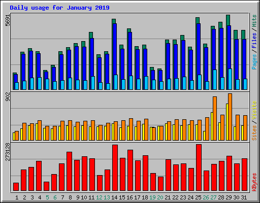 Daily usage for January 2019