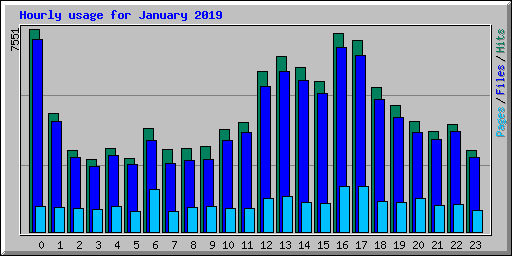 Hourly usage for January 2019
