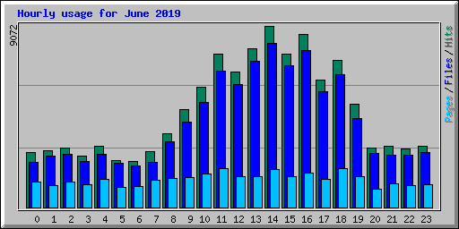Hourly usage for June 2019