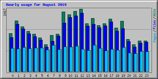 Hourly usage for August 2019